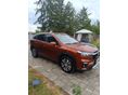 SUZUKI S-CROSS 2024/9 - 4