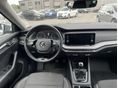SKODA OCTAVIA 2021/2 - 10