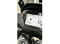 HONDA XL 750 2023/10 - 2