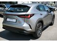 LEXUS NX 2022/3 - 4