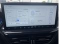 FORD FOCUS 2024/4 - 6