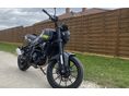 BENELLI LEONCINO 250 