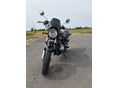 SUZUKI GS 500 E 2008/8 - 2