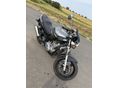 SUZUKI GS 500 E 2008/8 - 3
