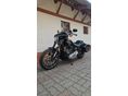 HARLEY-DAVIDSON SOFTAIL 2024/4 - 7