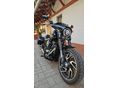 HARLEY-DAVIDSON SOFTAIL 2024/4 - 10