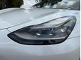 TESLA MODEL 3 2021/1 - 8