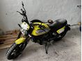 DUCATI SCRAMBLER 2016 - 3