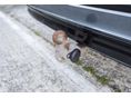 VOLKSWAGEN TIGUAN ALLSPACE 2021/9 - 12