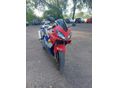 HONDA CBR 600 F4 