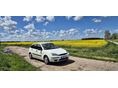 FORD FOCUS 1.4 Ambiente