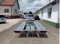 NIEWIADOW 2025 - 4