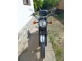 KAWASAKI W 650 2001/4 - 4