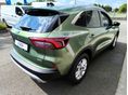 FORD KUGA 2026 - 7