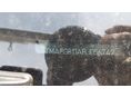 KIA VENGA 2011/9 - 41
