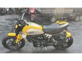 DUCATI SCRAMBLER ICON 2024 - 7