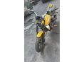 DUCATI SCRAMBLER ICON 2024 - 8