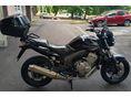 HONDA CBF 600 2010/2 - 2