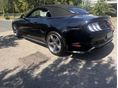 FORD MUSTANG 2022/10 - 8