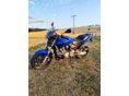 HONDA CB 600 F (HORNET) 
