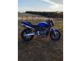 HONDA CB 600 F (HORNET) 2000 - 2