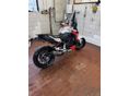 BMW F 900 R 