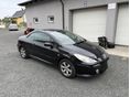 PEUGEOT 307 2008/6 - 2