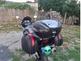 SUZUKI GSF 1250 (BANDIT) 2009/5 - 5