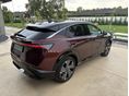 NISSAN ARIYA 2022/6 - 3