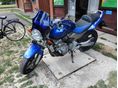 HONDA CB 600 F (HORNET) 