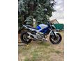 SUZUKI SFV 2010/11 - 5