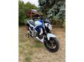 SUZUKI SFV 2010/11 - 6