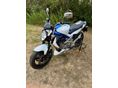 SUZUKI SFV 2010/11 - 7