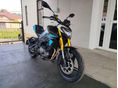 MORBIDELLI F352 2026 - 3