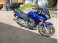 HONDA CBF 600 2004/5 - 2
