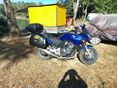 HONDA CBF 600 2004/5 - 4