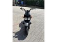 HONDA ZOOMER 2004/1 - 4