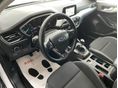 FORD FOCUS 2019/1 - 11