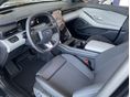 FORD CAPRI 2026 - 2
