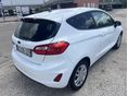 FORD FIESTA 2019/11 - 3