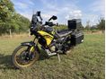 VOGE DS800X RALLY 2025/10 - 2