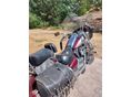 SUZUKI VL 1500 (INTRUDER) 2001/10 - 7