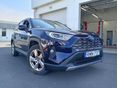 TOYOTA RAV 4 2019/6 - 1