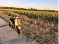 VESPA SPRINT S