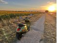 VESPA SPRINT 2025/3 - 2
