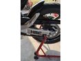HONDA CB 600 F (HORNET) 2007 - 3