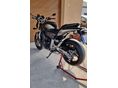 HONDA CB 600 F (HORNET) 2007 - 5