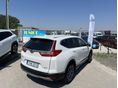 HONDA CR-V 2022/6 - 6