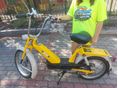 BABETTA 207 