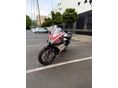 APRILIA RS 50 2014/5 - 2